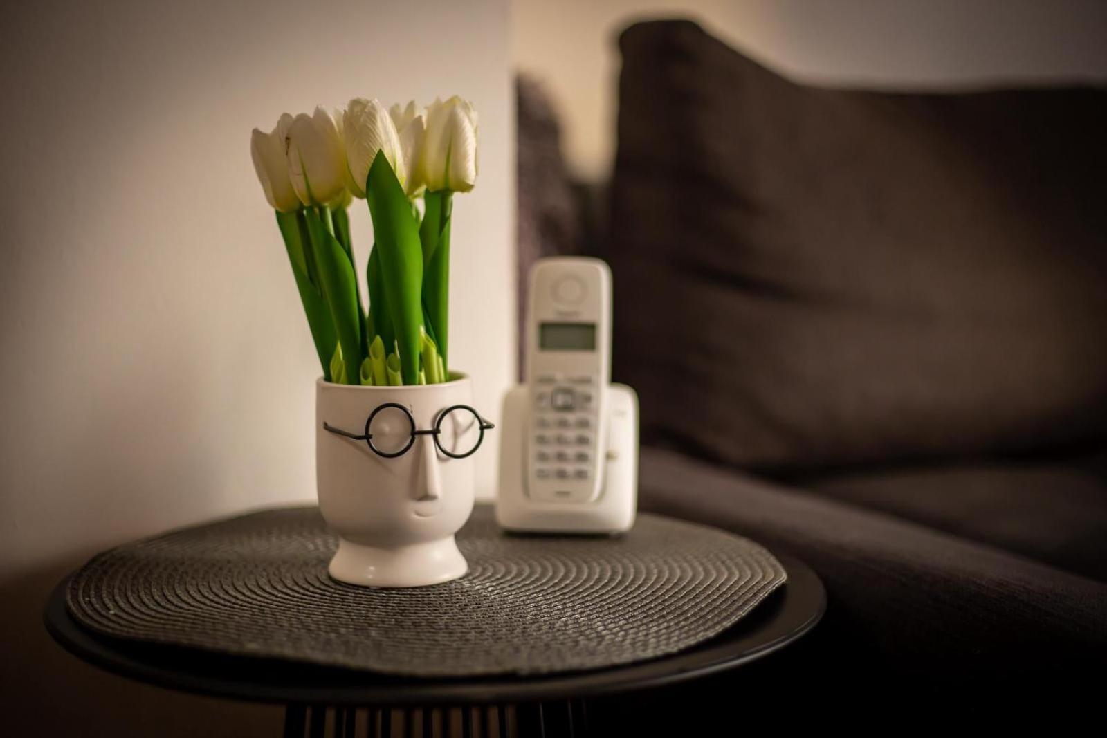 Apartman Elly Slavonski Brod Exteriér fotografie